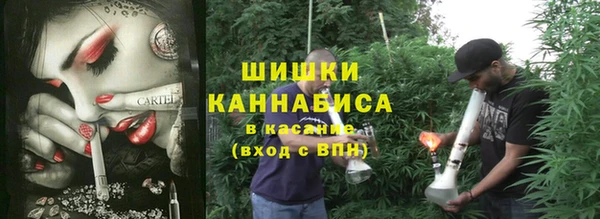 индика Алексеевка